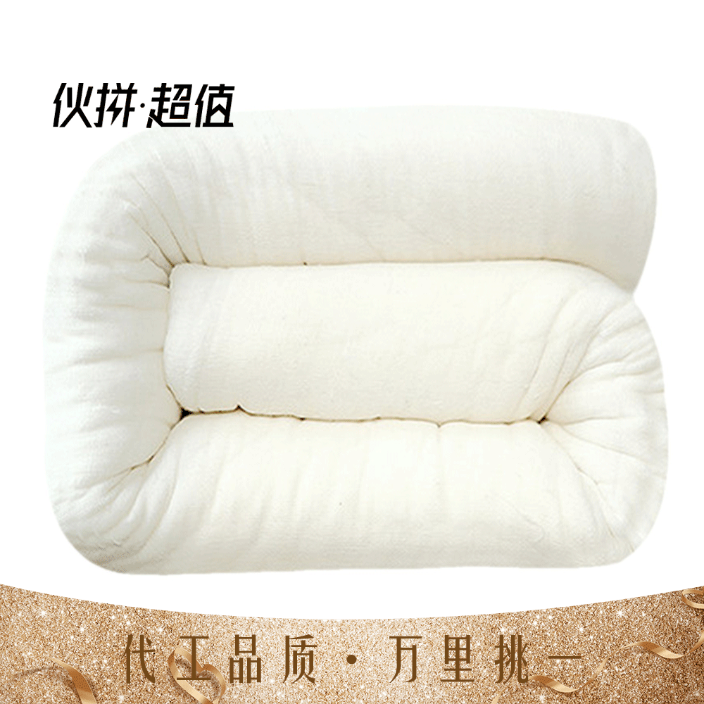 冬季新款千层棉花被子学生宿舍家用8斤棉被棉絮床上垫被褥子加厚|ru