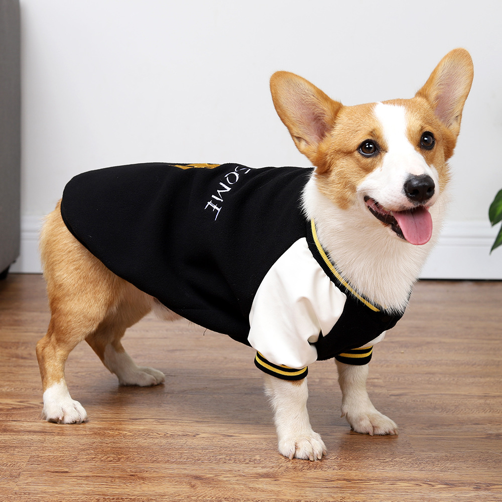 中小型犬狗狗衣服秋冬棒球卫衣柯基服装宠物运动服饰保暖冬装狗服
