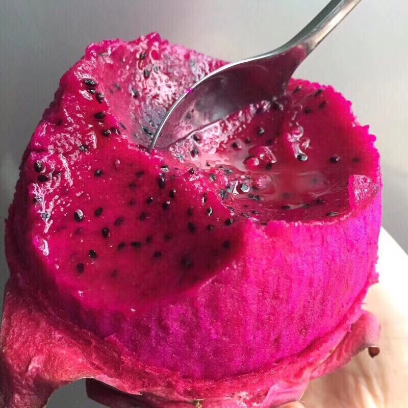 Guangxi Red pitaya kyoto Number one fresh fruit fresh Full container fruit Hainan Red pitaya