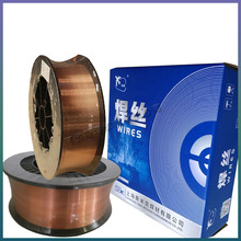 ˹׿wCS201~zERCu~Ͻ𺸽z