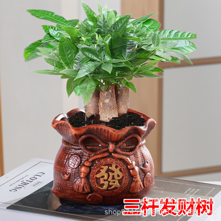 QQͼƬ20200803165737