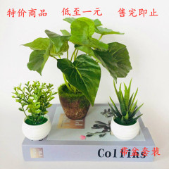緑植鉢植えシミュレーション多肉小盆栽メーカー直販シミュレーション緑羅鉢植え造花鉢植え小置物