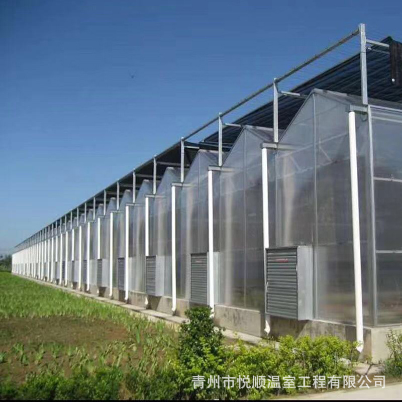 智能农业阳光板温室 蔬菜花卉种植玻璃温室 生态阳光育苗大棚骨架