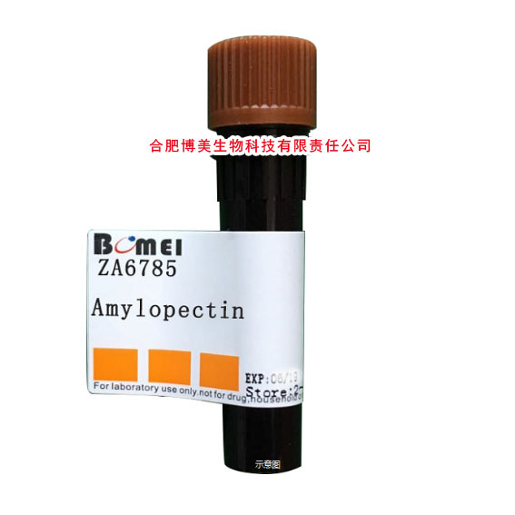 支链淀粉（来源于马铃薯）科研实验试剂CAS:9037-22-3