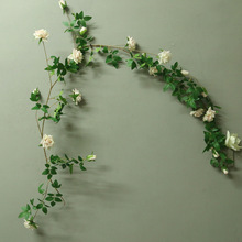 滨õ廨ټٻp@ bl@ ڵ