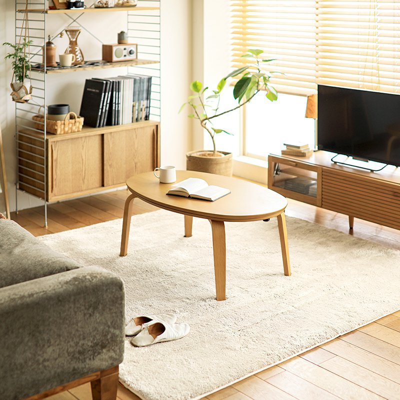 长毛地毯ins卧室床边毯客厅茶几浴室吸水家用地垫家居现代简约