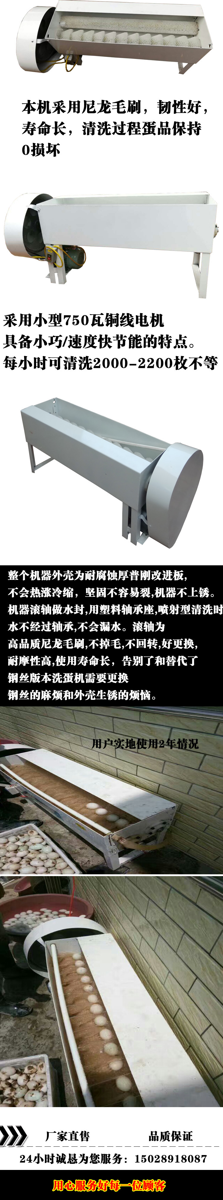 洗蛋机修改字体222222题-1.jpg