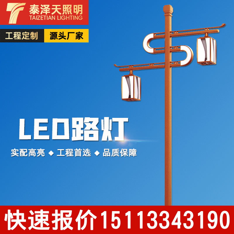 庭院灯工程亮化市政道路灯双头道路灯工业园区照明中式复古庭院灯|ms