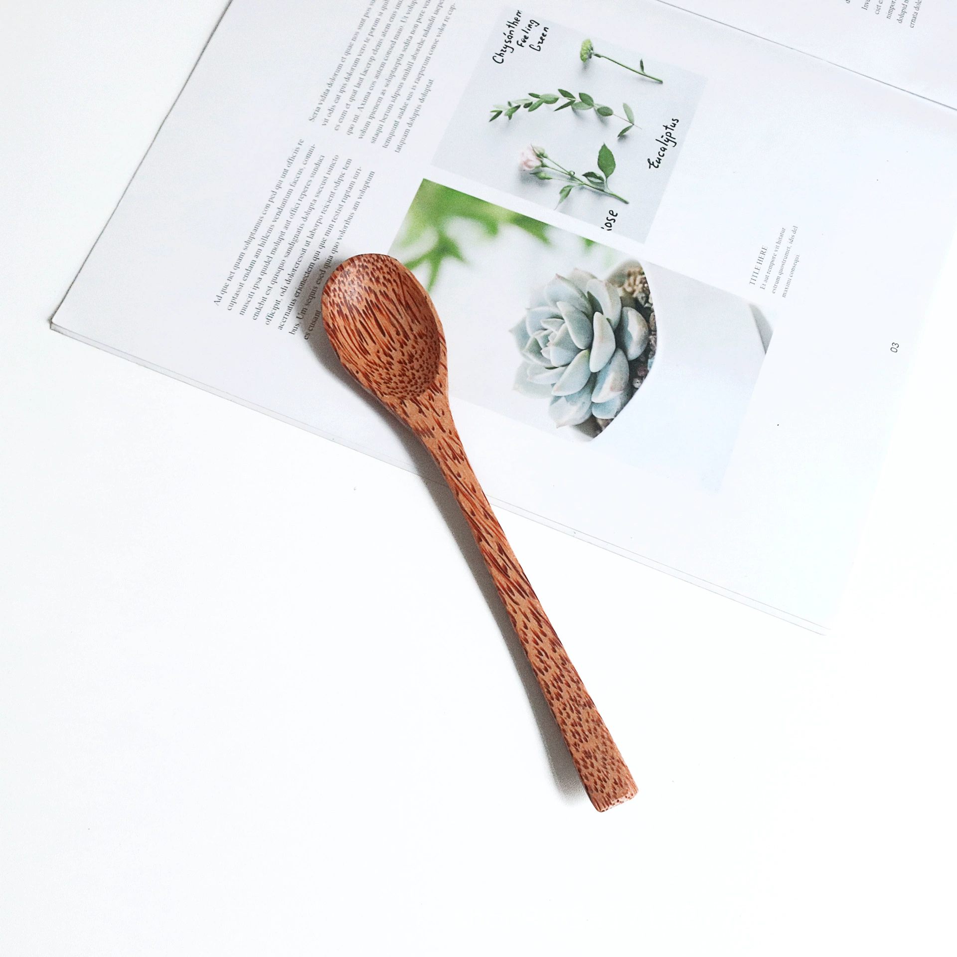Natural coconut shell creative dessert salad bowl tableware storage old coconut shell disc dry fruit plate handmade coconut bowl
