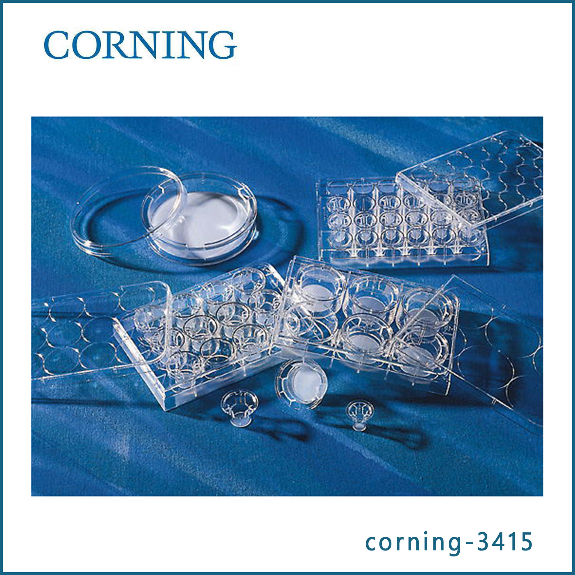 康宁Corning 3415 Transwell嵌套 (带聚碳酸脂膜6.5mm 3.0um)