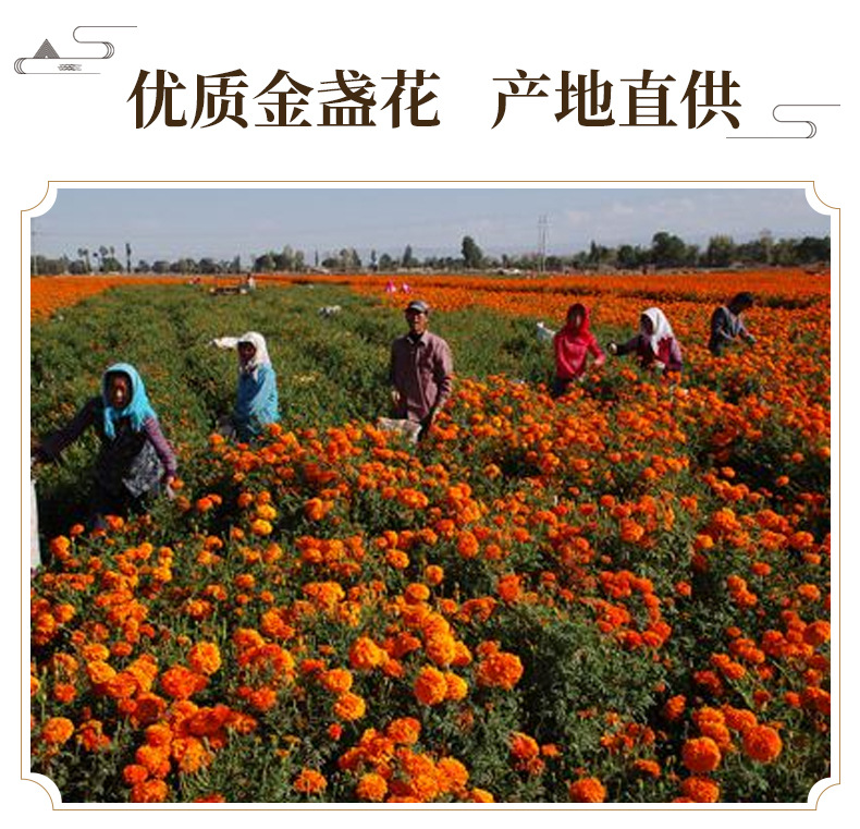 Dried Calendula Flowers Jin Zhan Ju Loose Herbal Tea 500g Natural Sun Dried Whole Petals key features