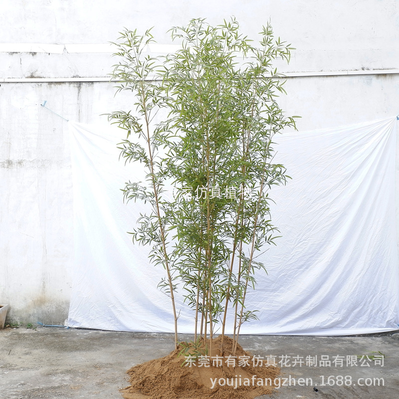 Venta directa de fábrica Simulación de bambú en maceta de una sola raíz de bambú Decoración de interiores Tabique de bambú falso Pared de contención Planta verde Bonsai