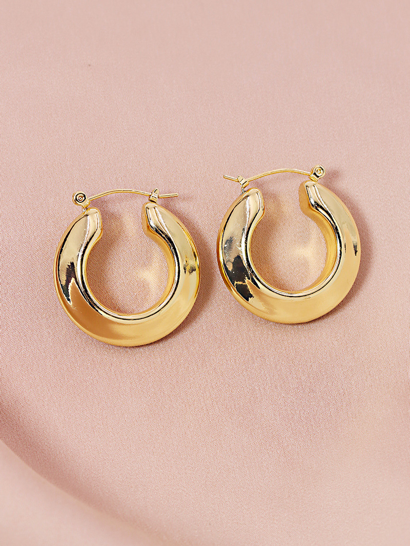 Popular 1 Pair Of Metal Ear Hoop Hot Selling Earrings Wholesale display picture 4