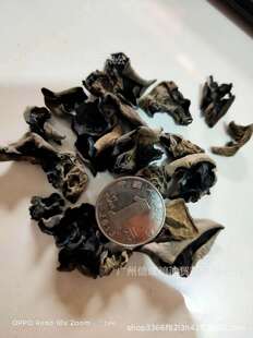 ��ľ��500g 1.3cm�B�i�̈� ���з��b�̹��� ���l�|����ľ��