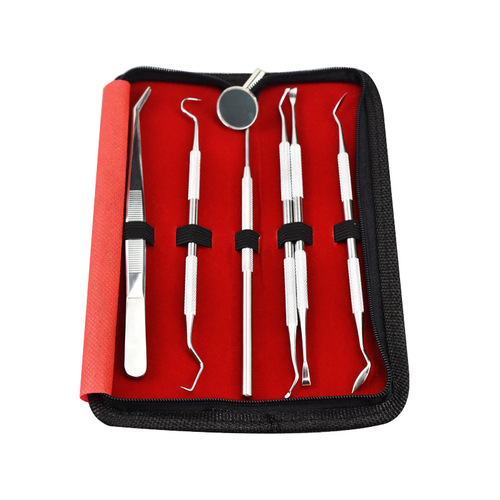 Dental Equipment Department Materials Tools Probe Oral Mirror Care Instruments Stainless Steel Dental Tools 6-piece Set Y
