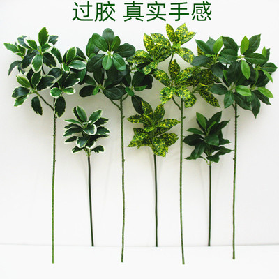 新款仿真榕树木棉叶PVC手感叶子绿色植物背景墙装饰园林造景树枝