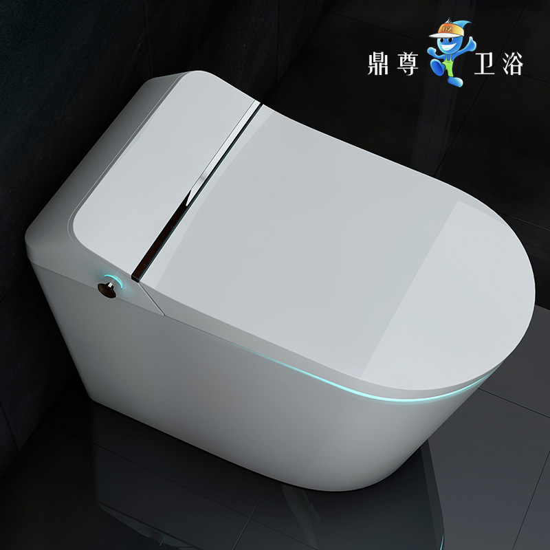 鼎尊新款一体式智能马桶 多功能即热式家用卫生间马桶|ms