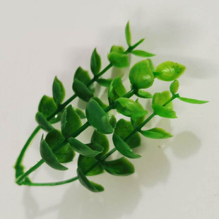 ɢ�ݷ��滨�� ���m�ݽ��~�ݴ��ȼ������^�� �����ݽ��X�ݏS��ֱ�N