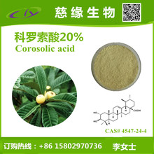 慈緣生物科羅索酸20% 枇杷葉提取物 corosolic acid CAS4547-24-4