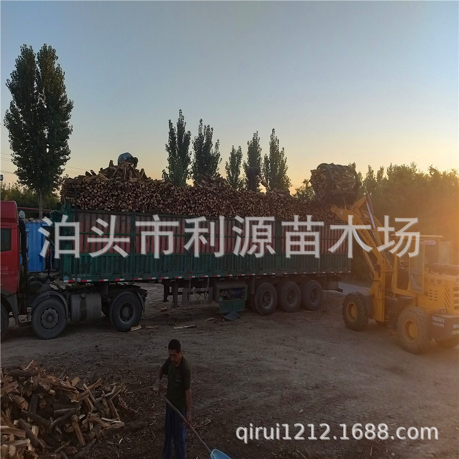 烤鸭烤肉枣木柴