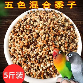 鸟食;其他小宠用品;仓鼠主粮