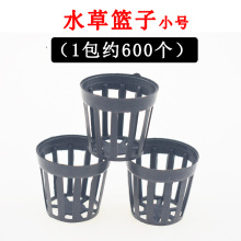 ˮ�ݻ@�� �~���쾰�b�ˮ����ˮ���B��ֲ��С̖600��/�� ���l