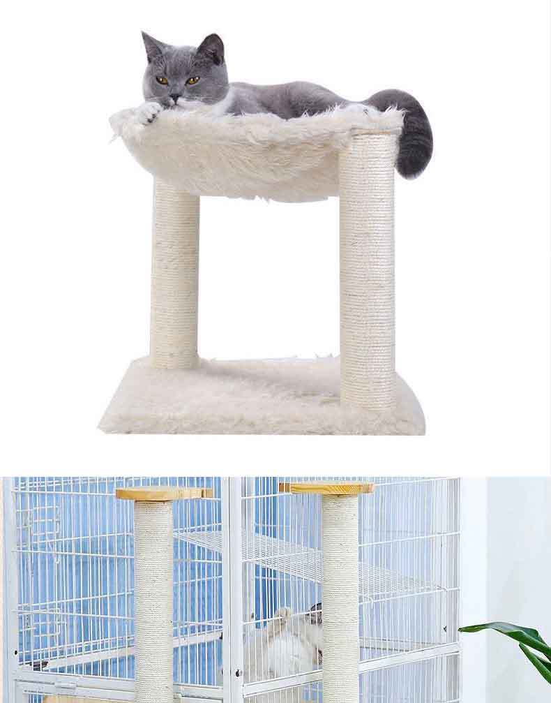剑麻详情_07