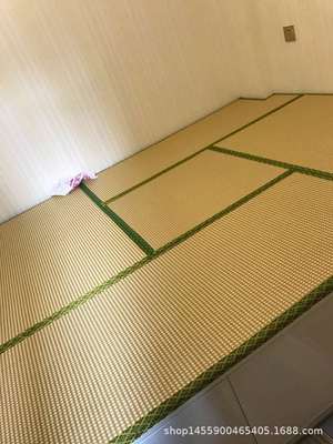 榻榻米床垫 定制日式榻榻米垫子 椰棕塌塌米坐垫 塔塔米地垫 定做|ms