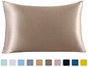 19 Mumi 51*66 zipper Heavy Real silk pillow case Two-sided mulberry silk Satin silk Manufacturers supply