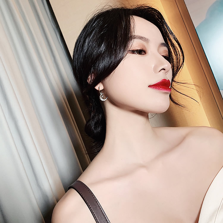2020 New Style Star Moon Full Diamond Vergoldete Ohrringe Koreanisches Leichtes Luxus Temperament Ins Internet Internet Zirkon Ohrringe Ohrringe Frauen display picture 7