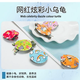 观赏龟、鳖;鱼缸;水族宠物饲料