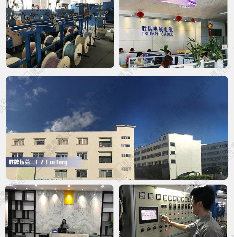 Company introduction_02