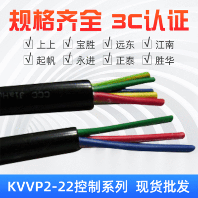 KVVP2-22控制屏蔽电缆 双层屏蔽传感器电缆线 多芯控制信号线电缆|ru