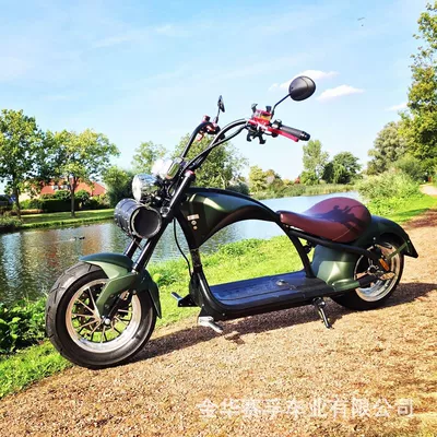 Elektrikli motosikletlər for Export, Adult Two-Wheeled Mobility