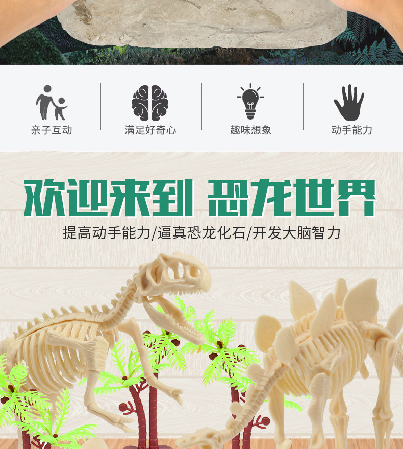 恐龙化石_02.jpg