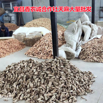 湖北宜昌下堡坪产地天麻批发干天麻新鲜天麻全干天麻天麻片