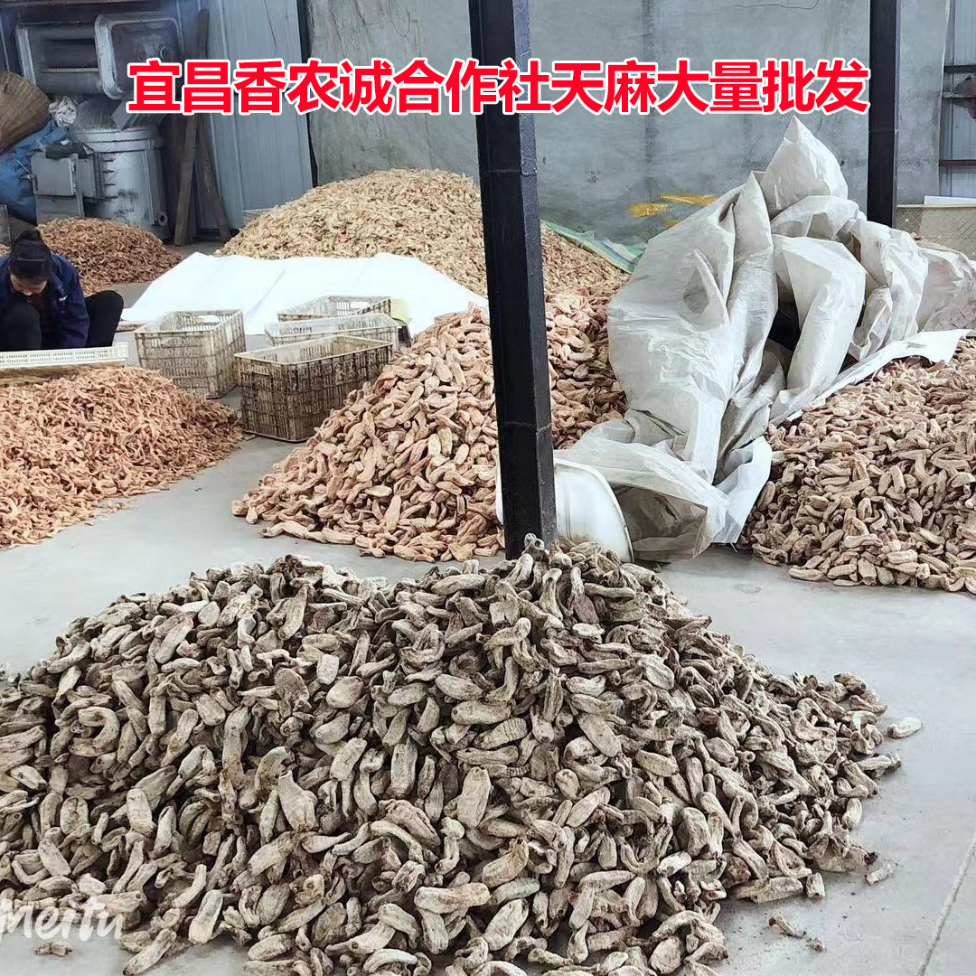 湖北宜昌下堡坪产地天麻批发干天麻新鲜天麻全干天麻天麻片