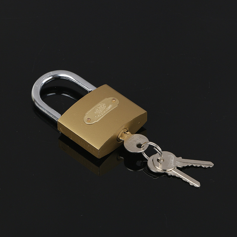 Erlifan candado armario tradicional de bloqueo
