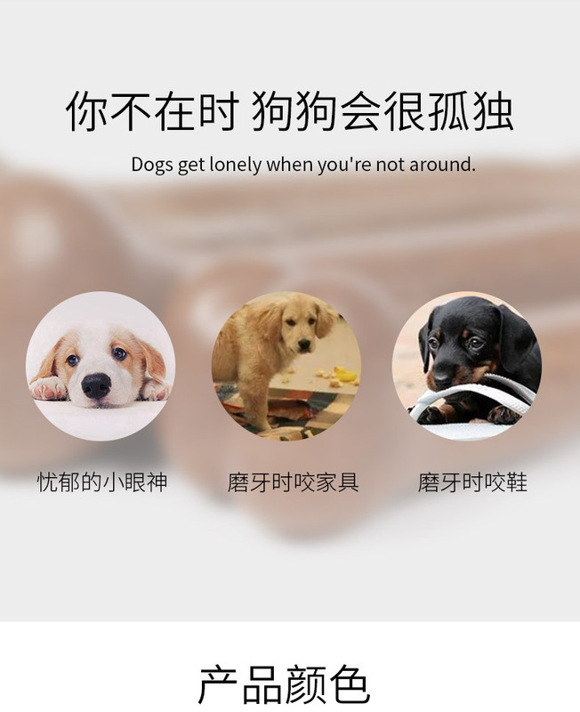 https://www.toonies.cn1-拷貝_07.jpg_800x800.jpg
