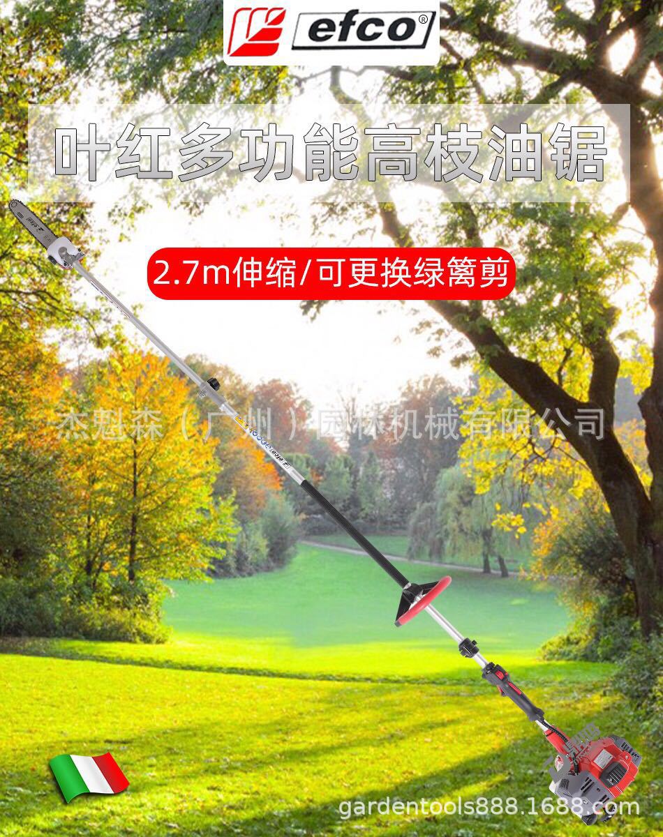 意大利叶红多功能高枝油锯伸缩加长杆园艺果树高空修枝剪