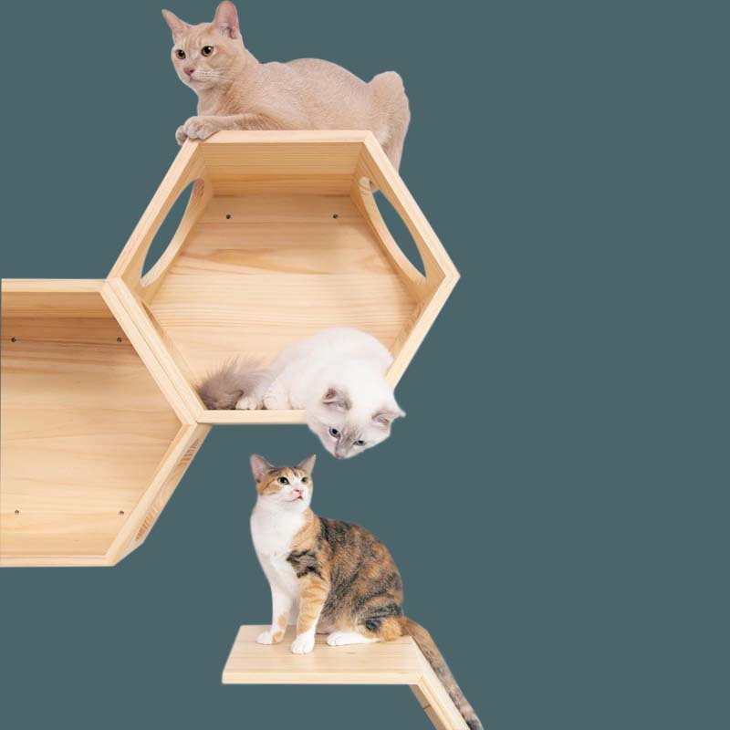 Entrega de una pieza cuatro estaciones gato pared salto plataforma de madera diy gato villa de madera maciza montado en la pared internet celebridad gato escalada marco gato nido