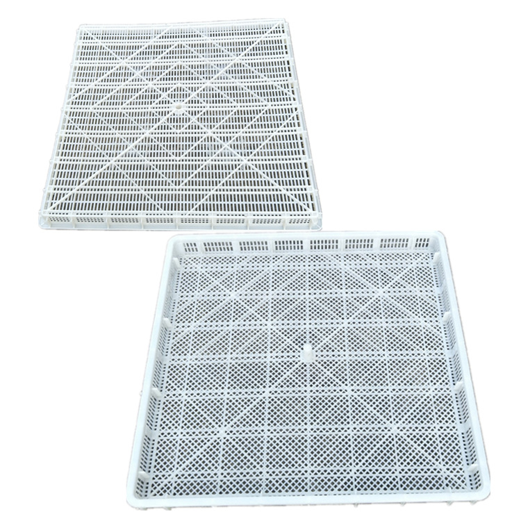 塑料单冻器 网格晾晒盘 芒果水产海鲜烘烤盘 850*850*60mm速冻盘