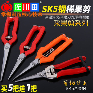 �S��ֱ�N������ժ����ֱ�^�N�^�L����֦�����ɹ�ϡ������֦������