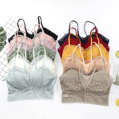 新款性感蕾絲吊帶少女抹胸裹胸無鋼圈菊花小雛菊美背內衣文胸背心