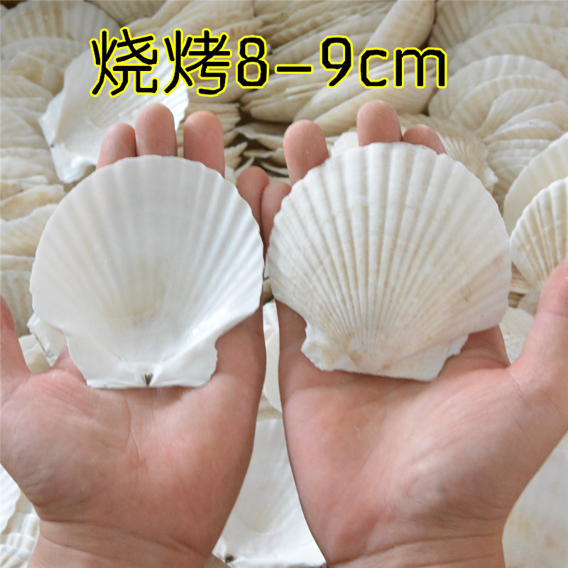 f870a12be319b27405fa848edd0528