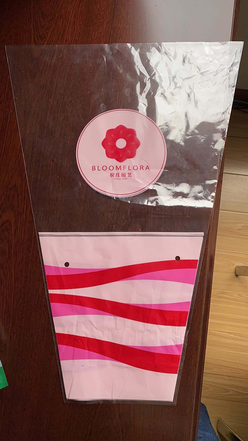 印刷梯形袋_副本