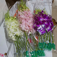 ���m�r����������r�����lǧ���m�����m�廨�����廨�����c�û�