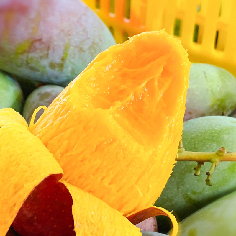 海南贵妃芒热带新鲜水果现货应季批发海南辣椒芒 直播一件代发