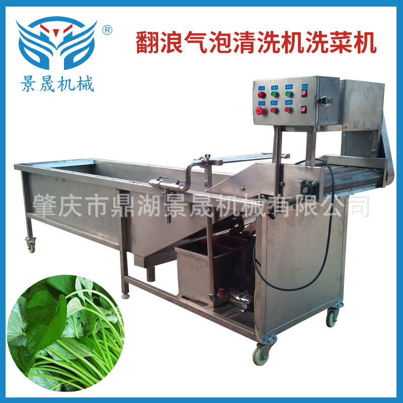 DQX-33工厂供应自动不锈钢果蔬清洗机气泡翻浪洗菜机可批发