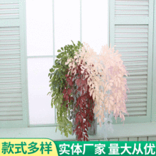 ���洹��ֲ��ڒ엗�~��Y�õ���bҾӹ���ܛ�b�Gֲ�ٗl��ˇ
